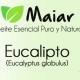 aceite-esencial-eucalipto